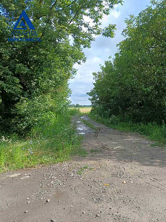 продажа земля сельскохозяйственного назначения Луцк, 120000 $ Луцк - изображение 3