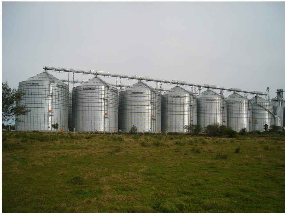 Зерносховище (Силос) Киев - изображение 5