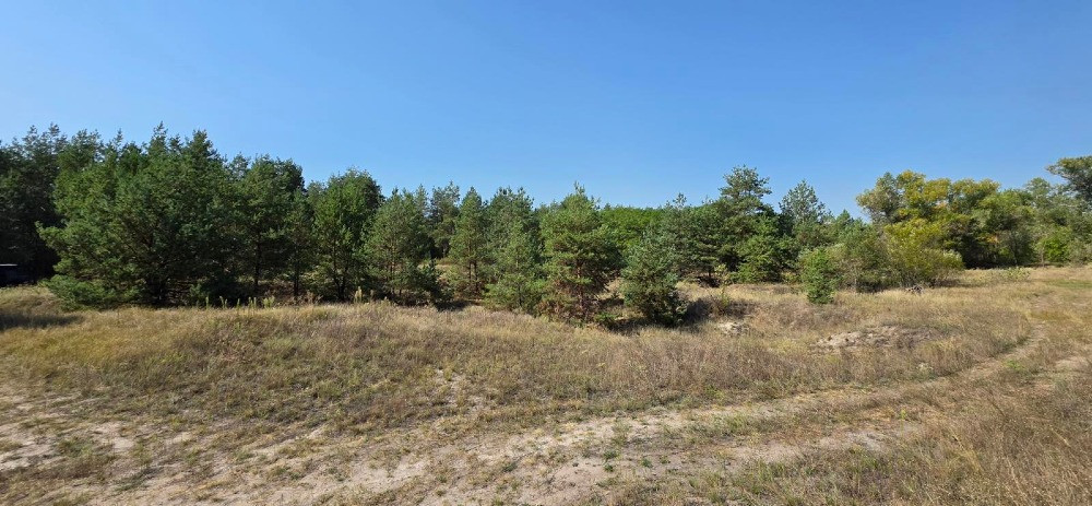 Продам 2,12 га землі в лісі, Царичанський район. Дніпро - зображення 4