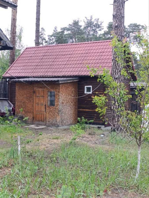 долгосрочная аренда 1-к дом Киево-Святошинский, Буча, 13000 грн./мес. Буча - изображение 1