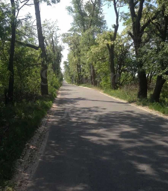 продажа участок под жилую застройку Макаровский, Севериновка, 126500 $  - изображение 8