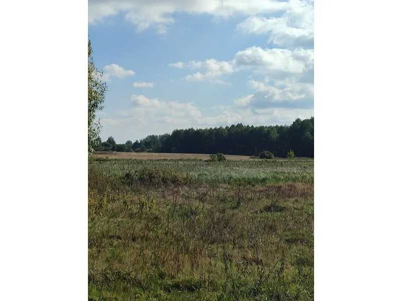 продажа земля сельскохозяйственного назначения Сквирский, Пищики, 92500 грн.  - изображение 5