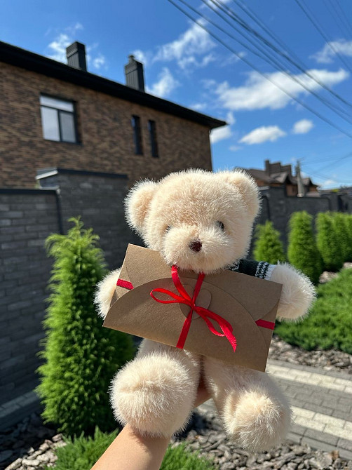 Плюшевий ведмедик з вашим голосом | Подарунок з аудіо-повідомленням (3 кольори) Львов - изображение 4