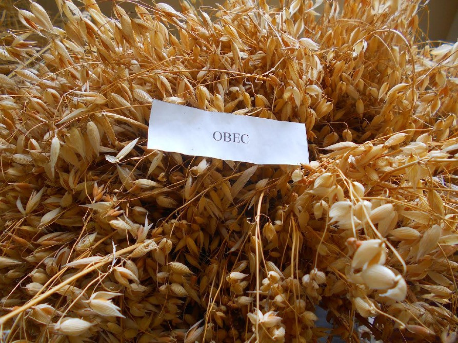 овсяная мука оптом Київ - зображення 1