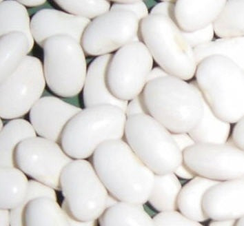 Куплю квасолю білу на переробку Ужгород - зображення 1