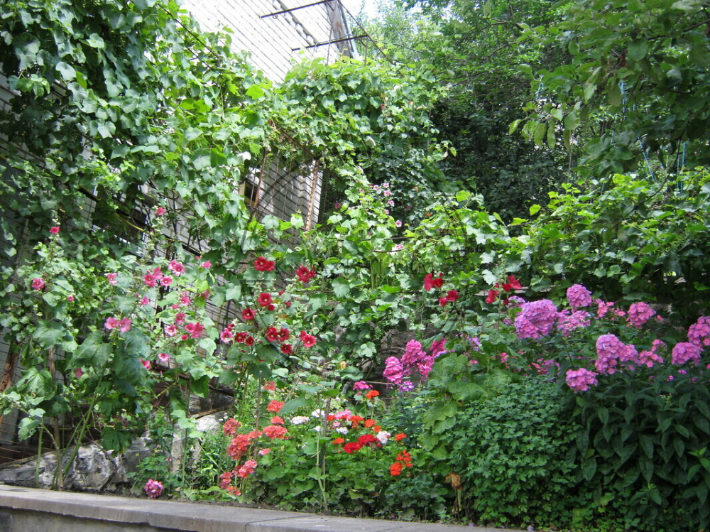 Оренда 1-кімнатної квартири студіо. ГАЗ. Приватний сектор. № 11201480 Київ - зображення 8