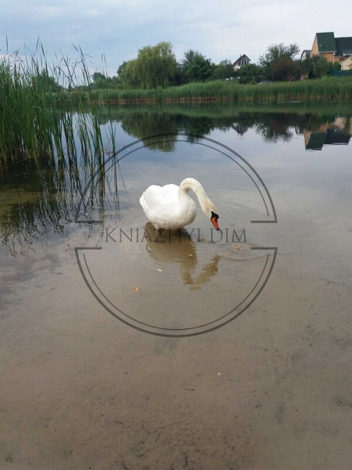 Продажа отличного нового дома в с. Хотяновка Вышгородский р-н. № 2210721 Київ - зображення 5