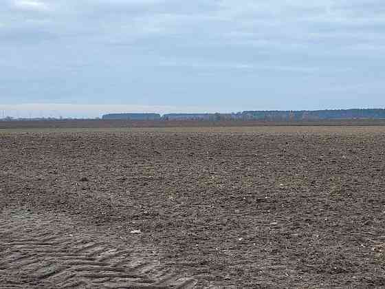 продажа земля сельскохозяйственного назначения Макаровский, Мотыжин, 1167000 грн. 