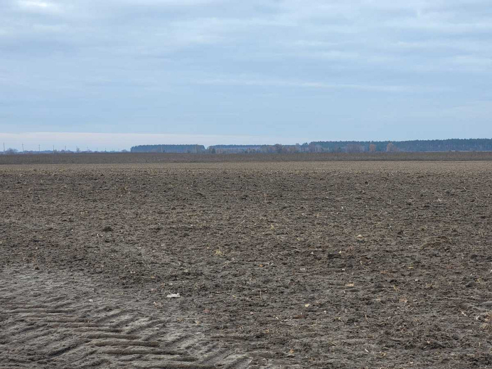 продажа земля сельскохозяйственного назначения Макаровский, Мотыжин, 1167000 грн.  - изображение 3