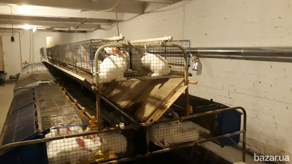 Отопление кролефермы. Кременчук - зображення 1