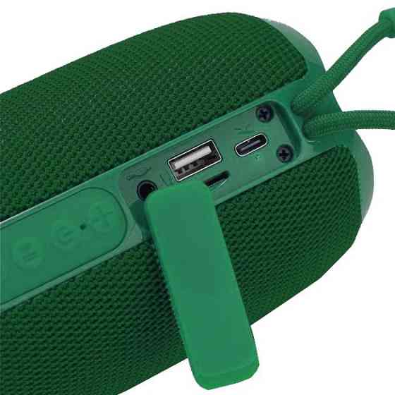 Колонка портативная Bluetooth T&G TG653 green зеленая Київ