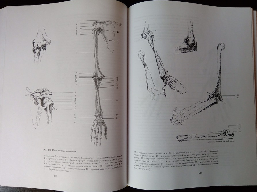 Основы академического рисунка. Львов - изображение 6