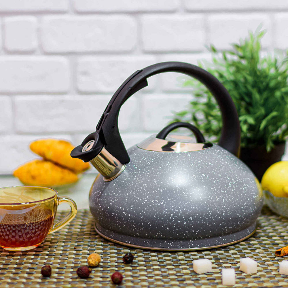 Чайник зі свистком Edenberg EB-8812-Grey 3 л сірий Київ - зображення 1