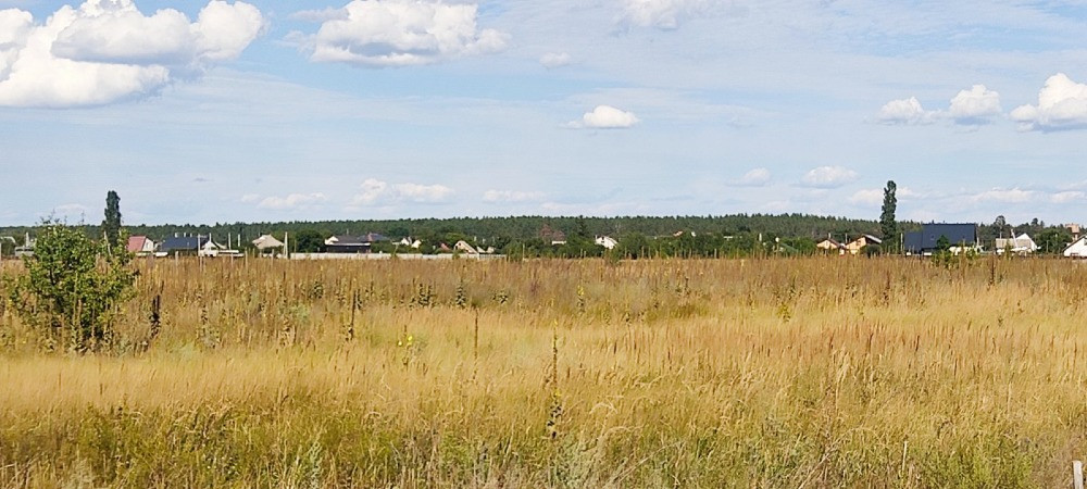 Продаж ділянки у с. Лебедівка поруч з каналом. Вишгород - зображення 2