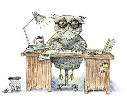 переклади польська, англійська (присяжні переклади польська) Луцьк - зображення 1