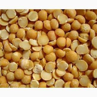 Купуємо сою (половинки), відходи кукурудзи Черкаси - зображення 1