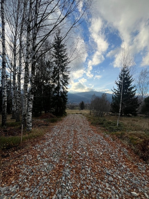 Земельна ділянка в Микуличині 0.12 га Яремче - зображення 9
