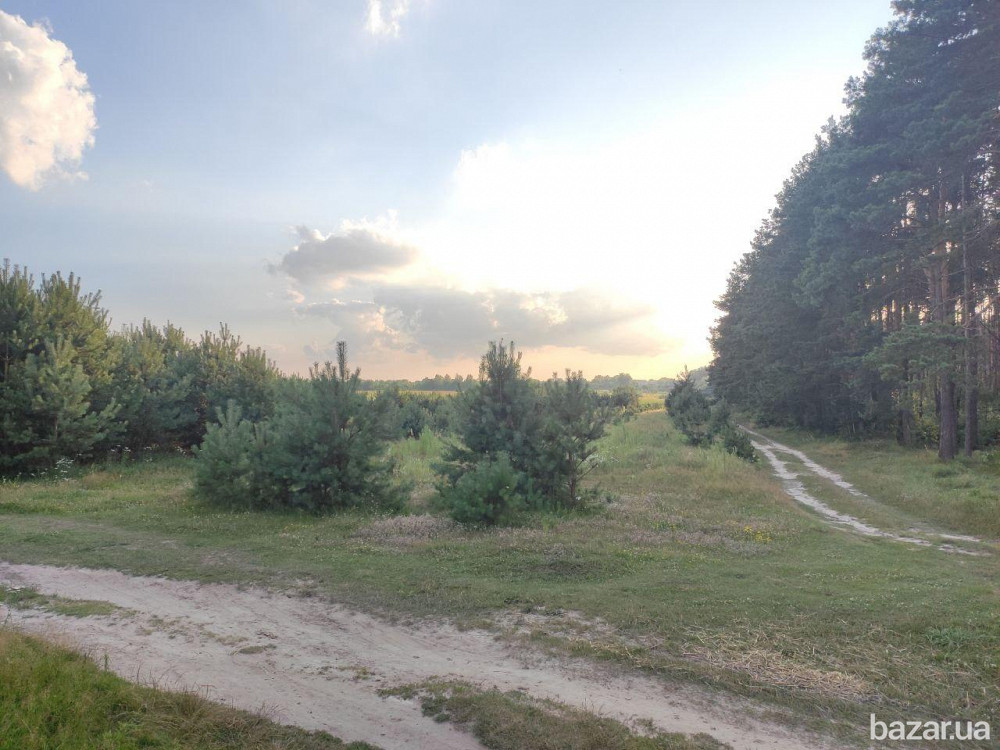 Продам земельні ділянки в с. Козлин Ровно - изображение 4