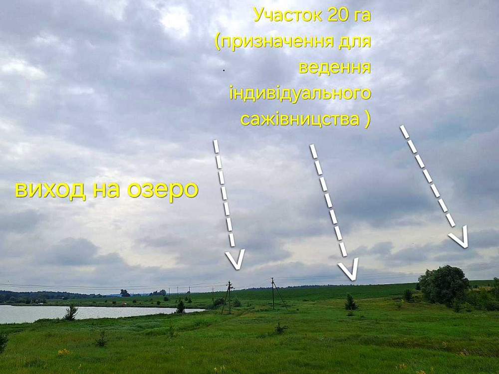 продажа участок под жилую застройку Макаровский, Бышев, 150000 $  - изображение 4