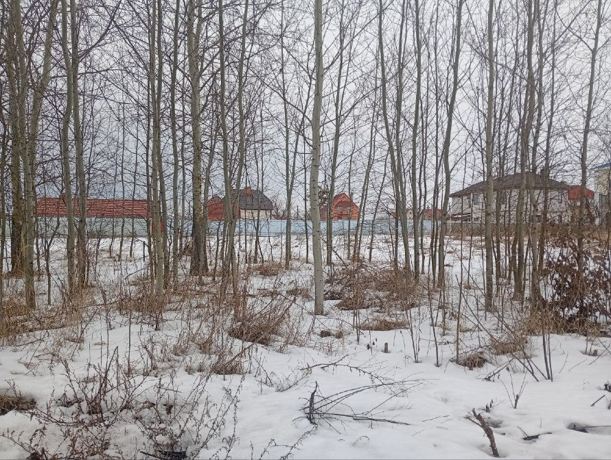 Княжичі. Продам 18сот під забудову, р-н Сади, асфальт, комунікації, забудовані сусіди Бровари - зображення 11