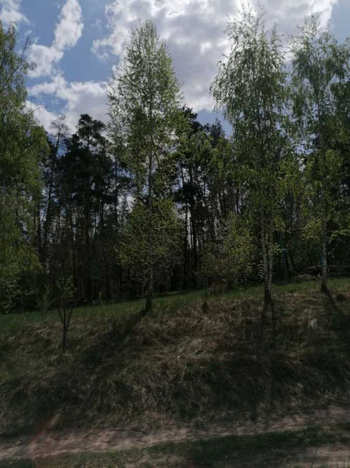 продажа 2-к дом Таращанский, Чернин, 7000 $  - изображение 1