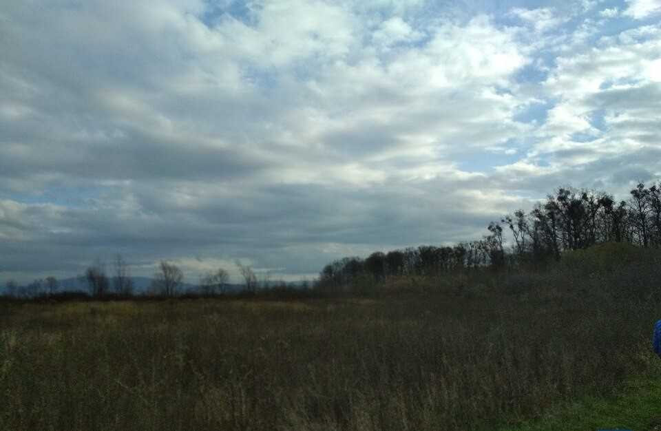 Земельна ділянка,0.9997 га,Закарпатська обл.,Мукачівський р-н, Павшино  - зображення 3