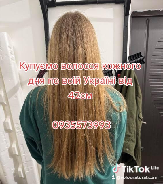 Купуємо волосся кожного дня по всій Україні від 42см -0935573993 Киев - изображение 1