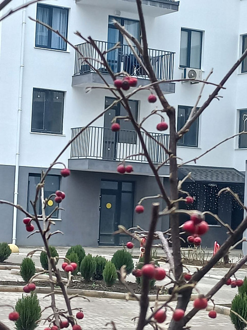 Продаю квартиру со своим входом Одесса - изображение 3