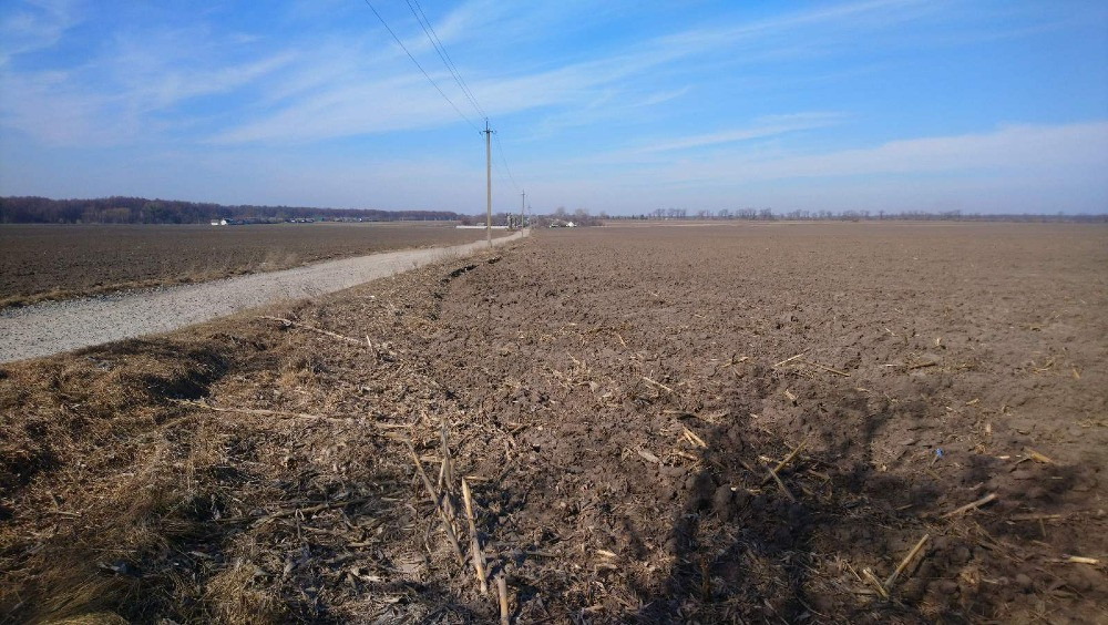 Пропонуємо на продаж фасадну земельну ділянку площею 4,1 га (пай) Біла Церква - зображення 7