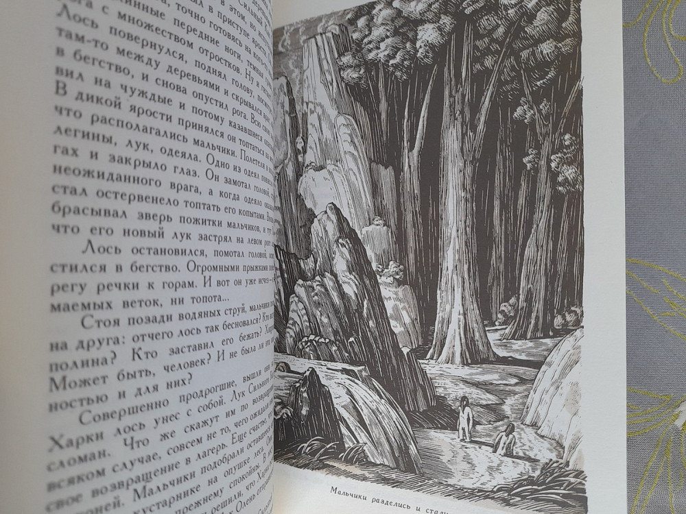 Лизелотта Вельскопф-Генрих Топ и Гарри бпнф приключения фантастика Запорожье - изображение 7