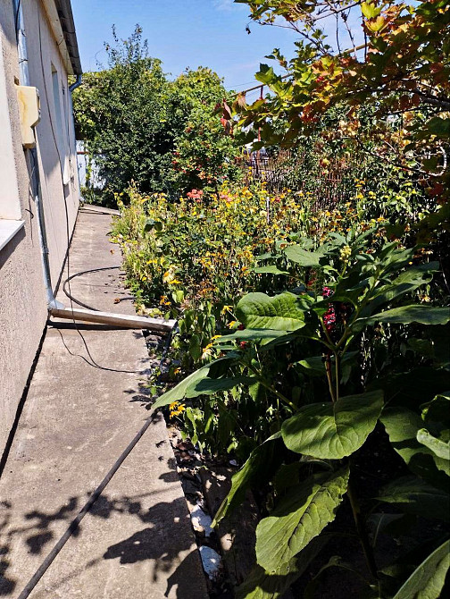 Два домика у моря Одеса - зображення 8