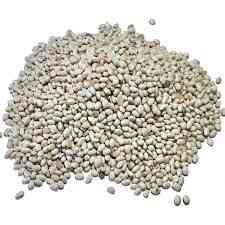 Насіння квасолі Червона Шапочка, Неві Бінс, Ред Кідні, Пінто Черкаси