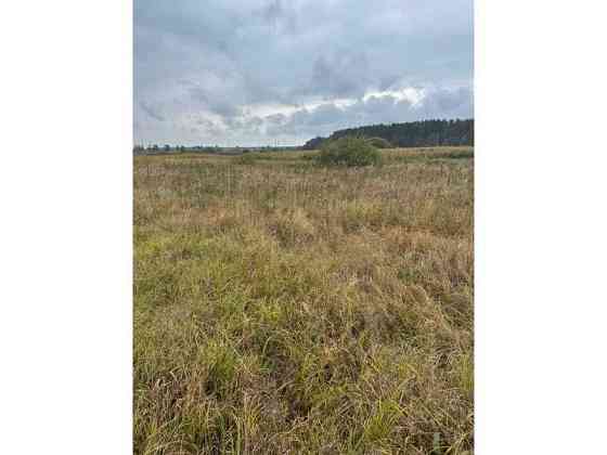 продажа земля сельскохозяйственного назначения Вышгородский, Литвиновка, 341828 грн. 