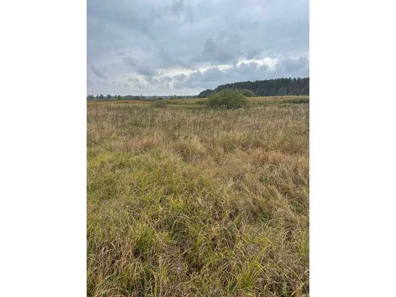 продажа земля сельскохозяйственного назначения Вышгородский, Литвиновка, 341828 грн.  - изображение 4