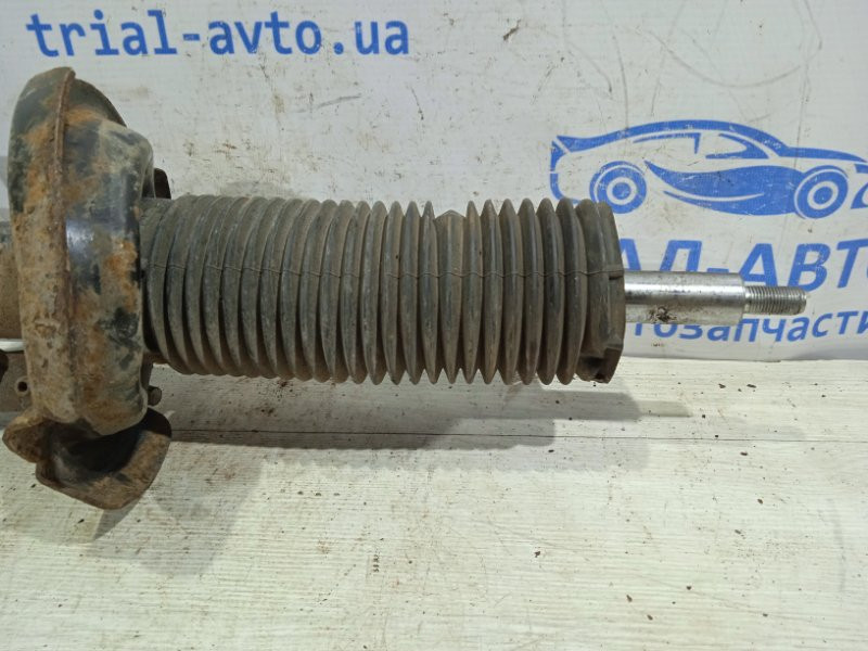 Амортизатор передний левый Ford Focus MK3 2010 перед. лев. (б/у) Киев - изображение 3