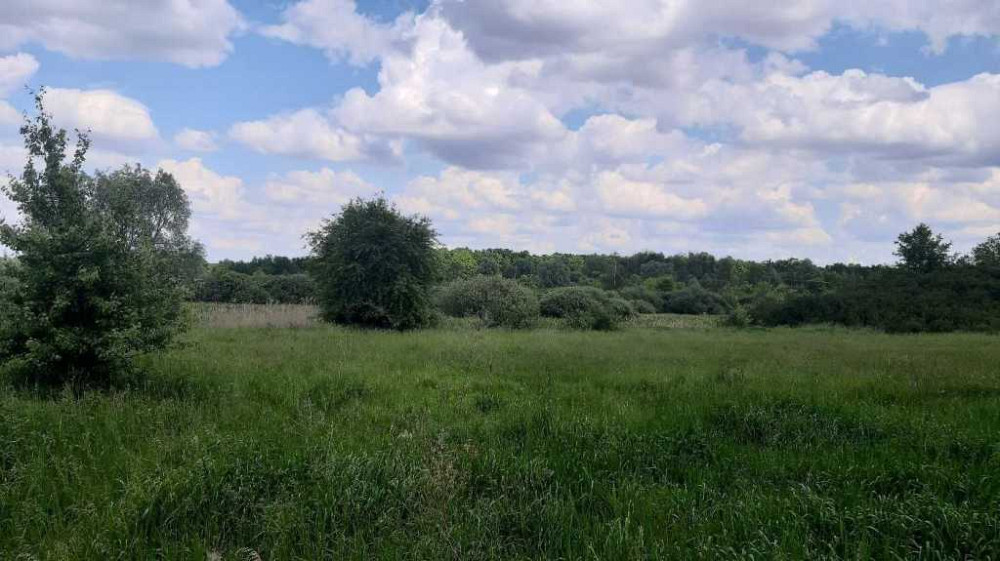 продажа земля сельскохозяйственного назначения Бориспольский, Головуров, 220362 грн.  - зображення 5