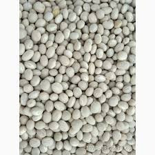 Приймаємо квасолю на переробку Днепр - изображение 1