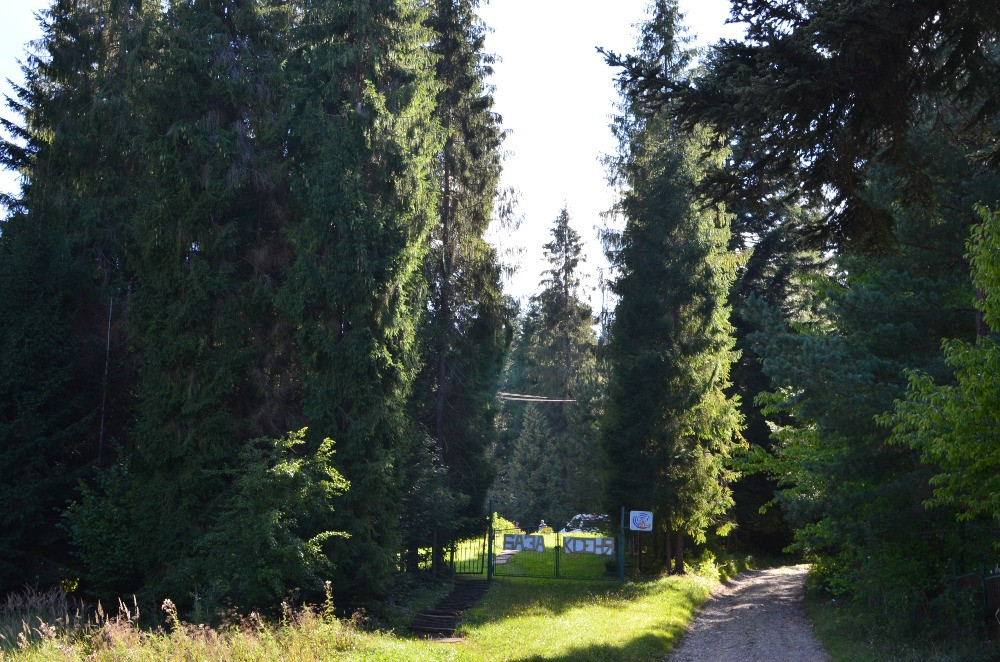 Східниця. Оренда кімнат в національному парку. Лікування Борислав - изображение 1