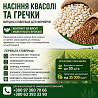 Насіння квасолі та гречки з контрактом на викуп врожаю Кропивницький