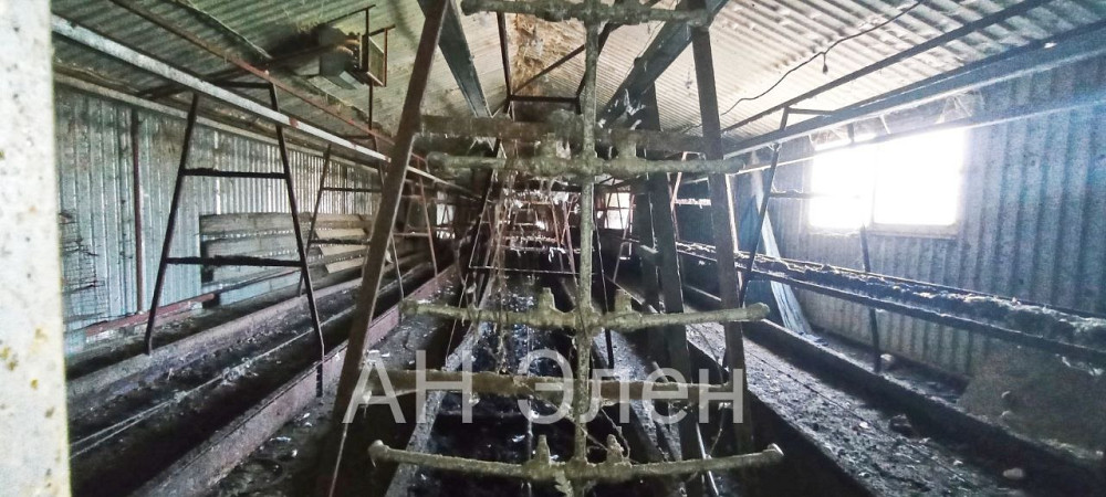 Столярный цех в фонтанке Одеса - зображення 12