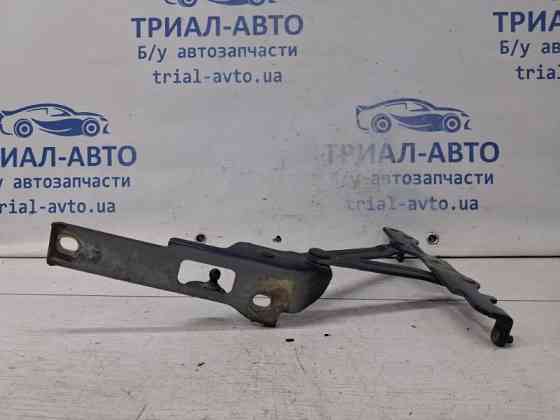 Петля крышки багажника левая Hyundai Sonata 2004-2010  (Арт. 66792) Київ