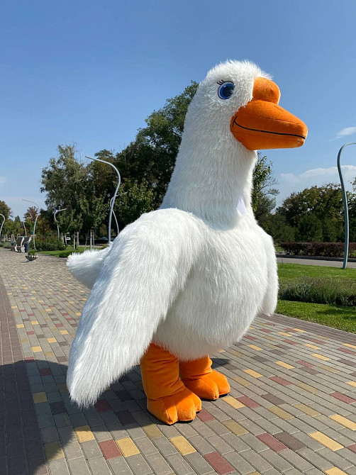 Замовляйте яскраве і барвисте привітання від Білого Ведмедя для вашого свята! Киев - изображение 8