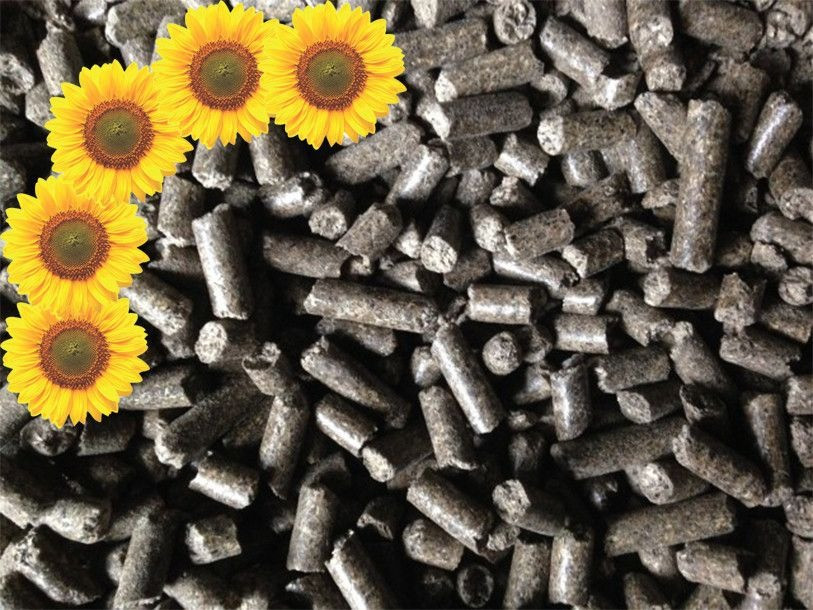 Пеллеты, брикеты из чистой шелухи подсолнечника Житомир - зображення 1