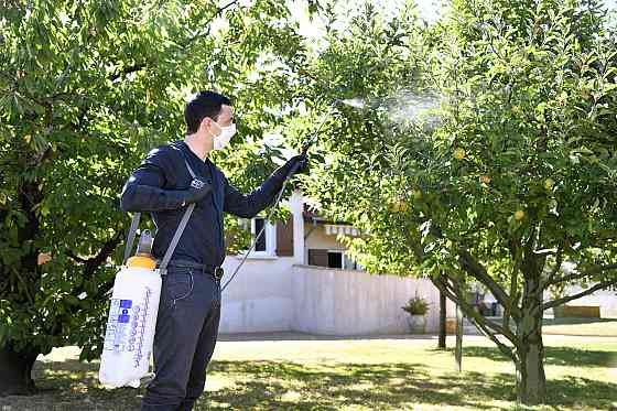 Опрыскиватель HoZelock 4231 7 л Київ