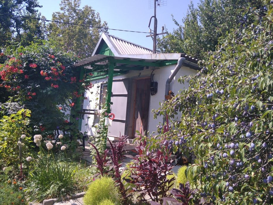 Продам. Дачу 20 м.кв. 6,7 сот. Шевченка. вул. Кадрова 2-Д. ДО "Самара" Днепр - изображение 8