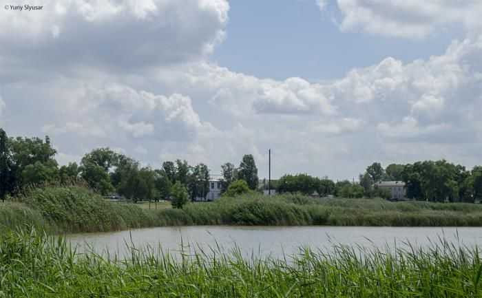 продажа участок под жилую застройку Бориспольский, Иванков, 21000 $ Іванків - зображення 8