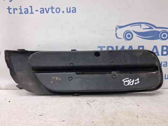 Накладка бампера Skoda Fabia 2007-2014  (Арт. 78381) Київ