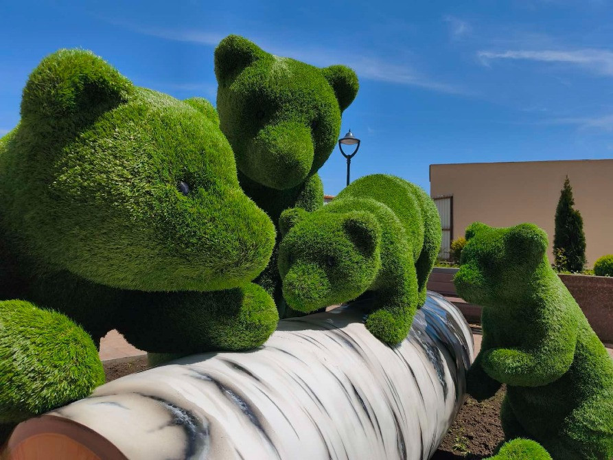 Топиарное искусство под заказ «утро в сосновом лесу» Київ - зображення 2