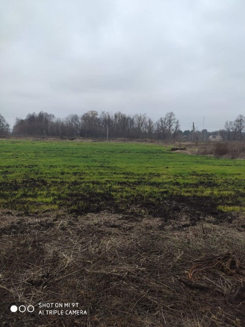 Ділянка під садівництво в Нижчій Дубечні 10 соток Вышгород - изображение 2