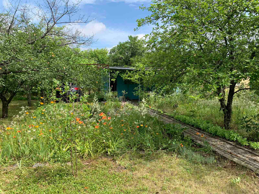 Дачный участок Ст."Озерный 3".рн. Санрея. Днепр - изображение 3